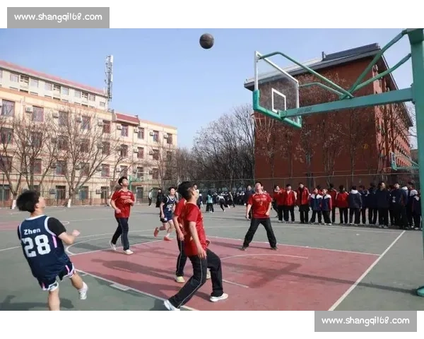 酷哥对决篮球校花青春赛场火花四溅的逆袭故事校园热血成长两强争锋